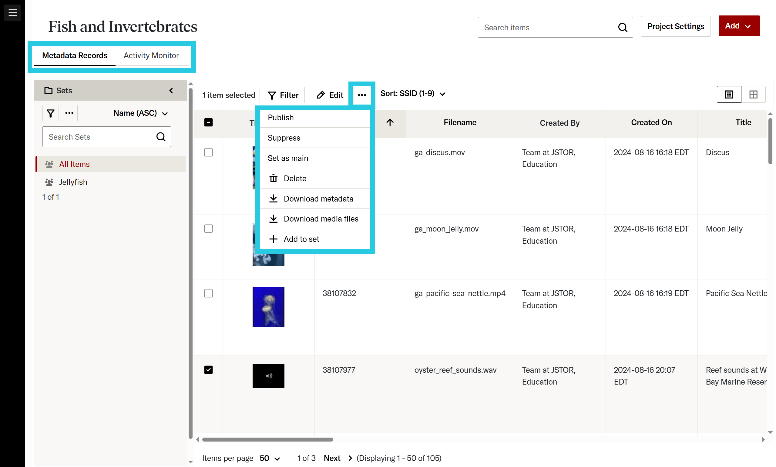 More item actions drop-down menu when viewing a project