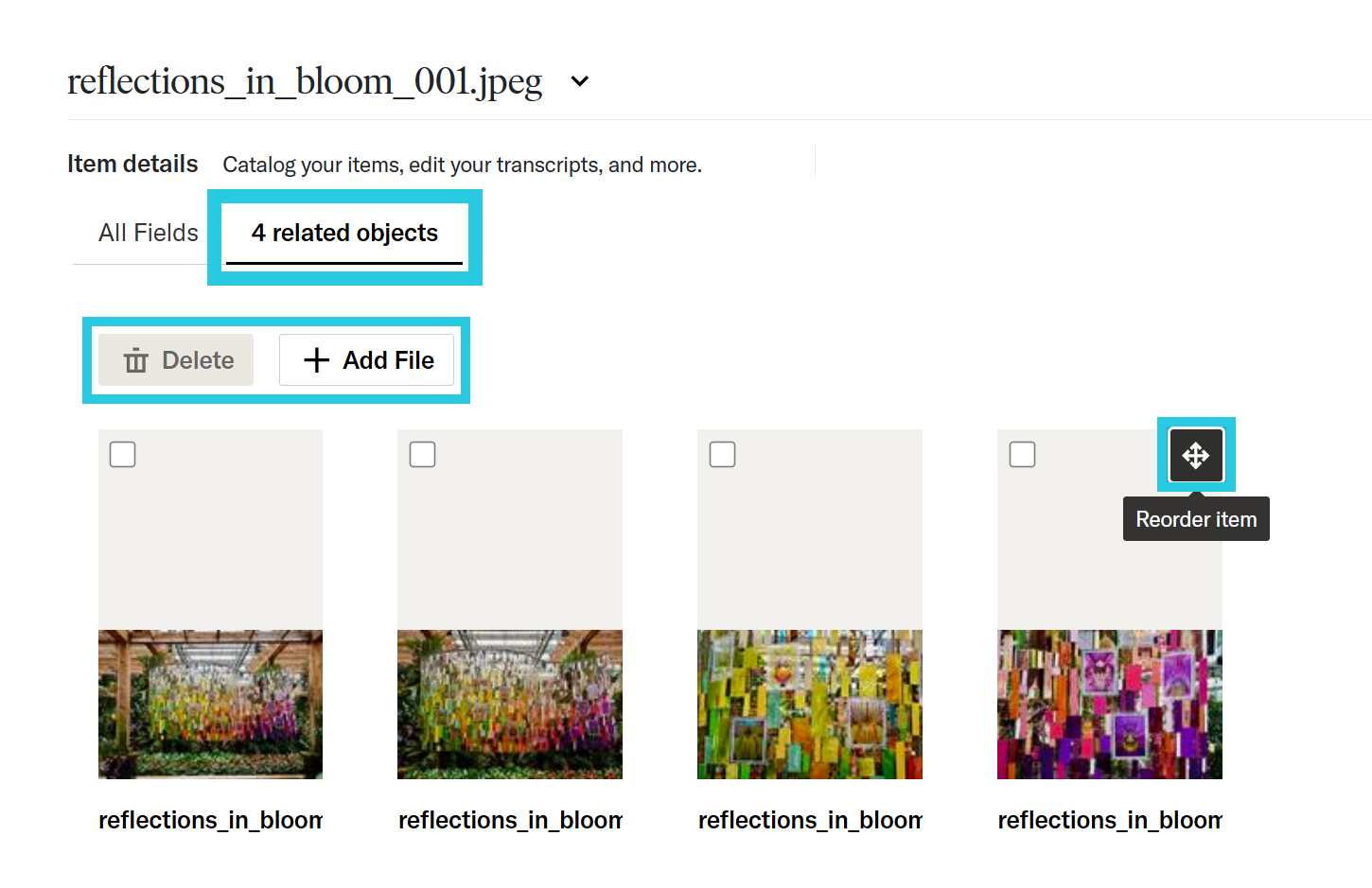 Related objects tab when viewing a compound object