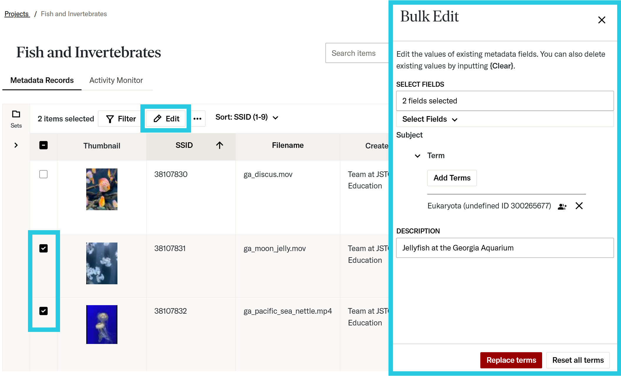 Bulk Edit panel