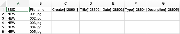 Creating new records with an Excel spreadsheet